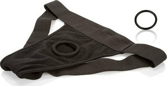 Calexotics Packer Gear Black Jock Strap Harness Gurtzeug in Schwarz Farbe