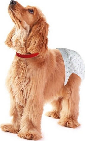 Les Filous Βρακάκι Σκύλου για Ακράτεια Medium 12τμχ