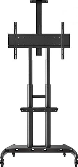 NB AV AVA1800-70-1P Βάση Τηλεόρασης Δαπέδου έως 80" και 90.9kg
