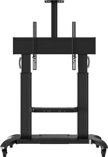 NB AV CF100 Suport TV pardoseală până la 100" și 90.9kg