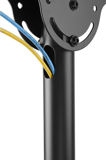 Stell Accessories SHO 3900 Βάση Τηλεόρασης Οροφής έως 70" και 50kg