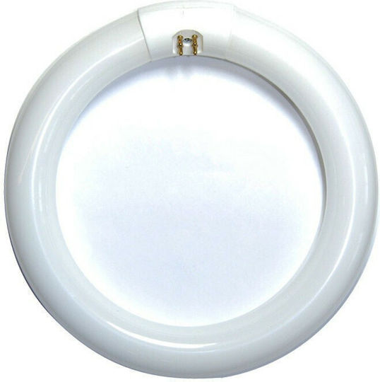 Geyer Geyer Λάμπα LED 20W Τύπου Φθορίου 300mm για Ντουί G10Q και Σχήμα T9 Ψυχρό Λευκό 1900lm