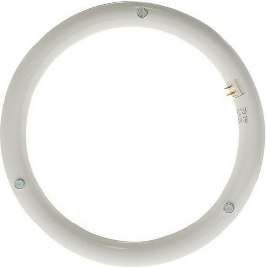 Geyer Geyer Λάμπα LED 20W Τύπου Φθορίου 300mm για Ντουί G10Q και Σχήμα T9 Ψυχρό Λευκό 1900lm