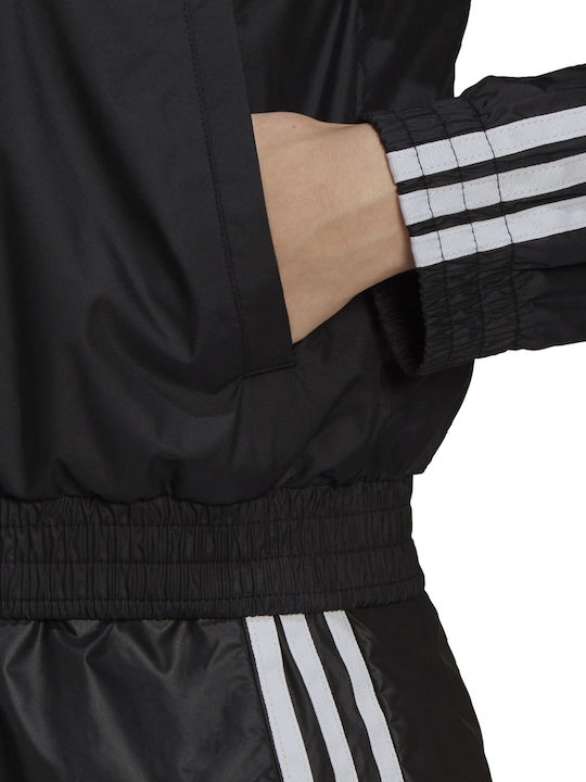 Originals Women's Short Sports Jacket for Spring or Autumn Black