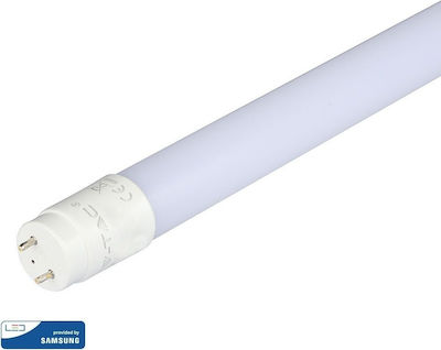 V-TAC VT-151 LED-Glühbirnen Fluoreszierend 150cm für Sockel G13 und Form T8 Kühles Weiß 2000lm 1Stück