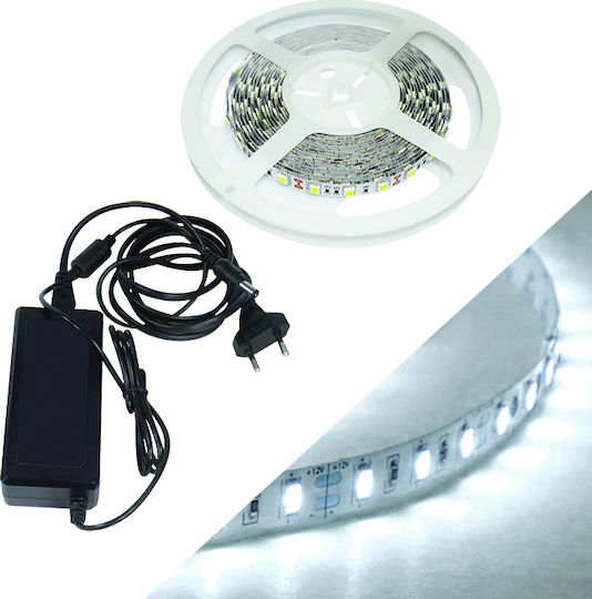 Fos me Ταινία LED 12V Ψυχρό Λευκό Φως 5m με Τροφοδοτικό