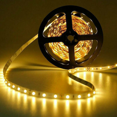 Eurolamp LED Strip Power Supply 12V with Warm White Light Length 5m and 30 LEDs per Meter SMD5050