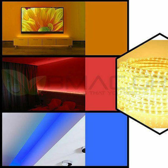 Woox Waterproof Smart LED Strip Wi-Fi 12V RGBW Light 5m Type SMD5050 with Power Supply & WiFi Controller