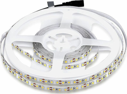 V-TAC Bandă LED 12V Alb Rece Lumină 5m Tip SMD3528
