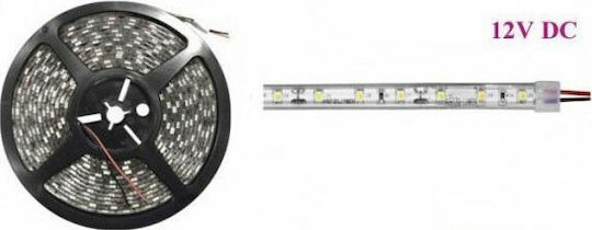 Atman Waterproof LED Strip 12V Blue Light 5m Type SMD3528