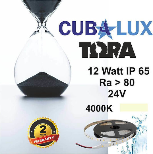Cubalux Waterproof LED Strip 24V Natural White Light 5m Type SMD2835