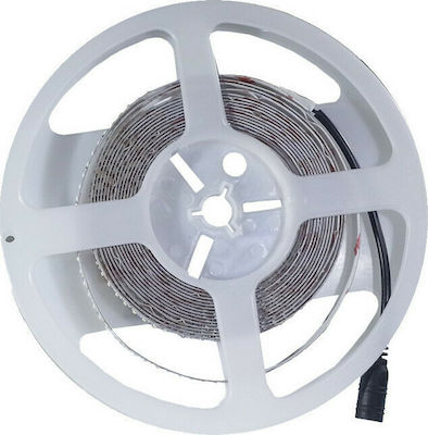 V-TAC LED Streifen Versorgung 12V mit Kaltweiß Licht Länge 5m und 240 LED pro Meter SMD2835