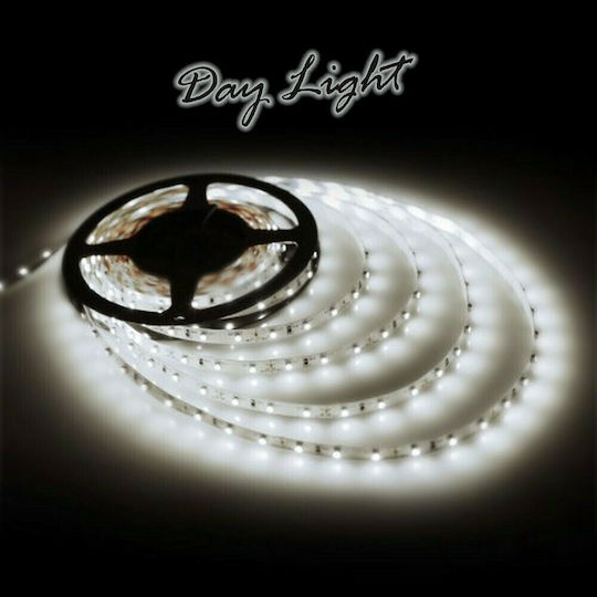 Atman Ταινία LED 12V Θερμό Λευκό Φως 1m Τύπου SMD5050