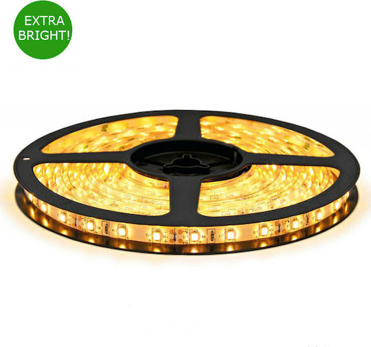 Aca Waterproof LED Strip 12V Warm White Light 5m Type SMD2835