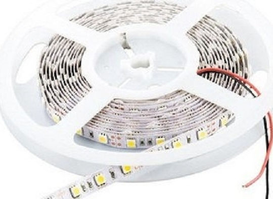 Cubalux Αδιάβροχη Ταινία LED 12V Ψυχρό Λευκό Φως 5m Τύπου SMD2835