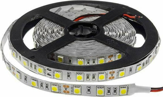 Optonica LED Strip 12V Cold White Light 5m Type SMD5050