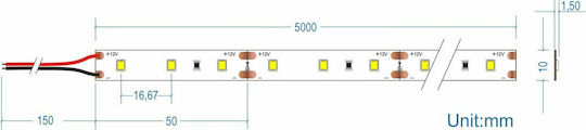 Cubalux LED Лента 12V Студено бяло Светлина 5м Тип SMD2835