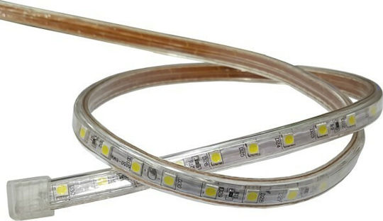 Universe Αδιάβροχη Ταινία LED 220V Μπλε Φως 1m Τύπου SMD5050