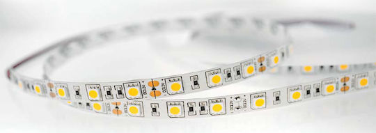 Lucas LED-Streifen 12V Warmes Weiß Licht 5m Typ SMD5050