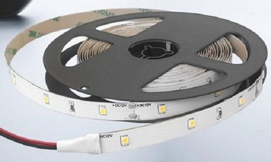 Cubalux Waterproof LED Strip 12V Cold White Light 5m Type SMD2835