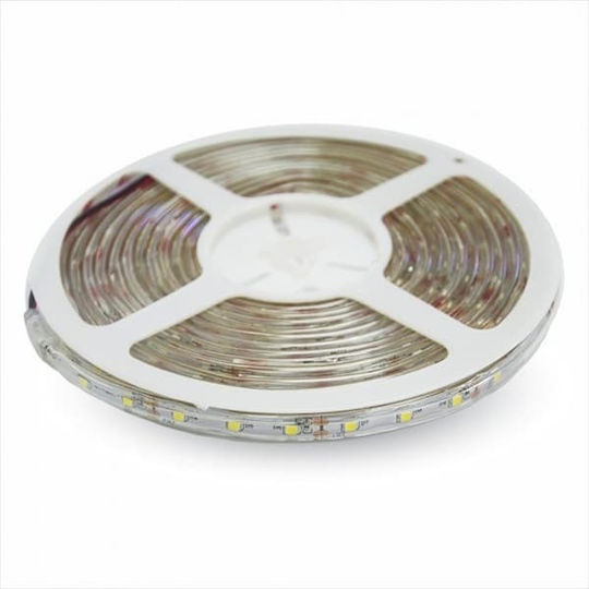 V-TAC Водоустойчива LED Лента 12V Червено Светлина 5м Тип SMD3528