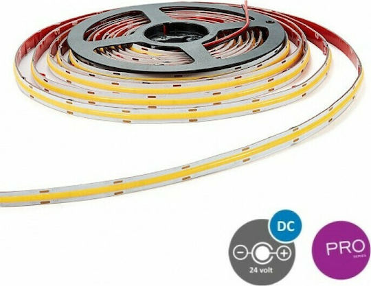 Eurolamp LED Strip 24V Cold White Light 5m