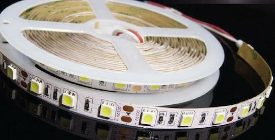 Aca Bandă LED 24V Alb Rece Lumină 5m Tip SMD5050