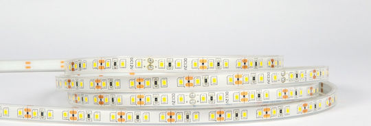 VK Lighting Αδιάβροχη Ταινία LED VK/24/3528W/C/96 24V Φυσικό Λευκό Φως 5m Τύπου SMD3528