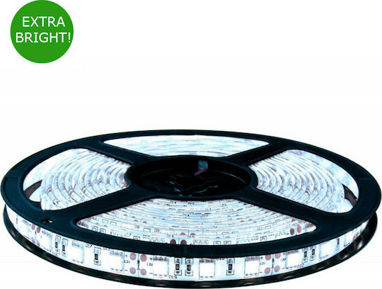 Aca Αδιάβροχη Ταινία LED 24V Ψυχρό Λευκό Φως 1m Τύπου SMD2835