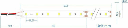 Cubalux Rezistent la apă Bandă LED 24V Alb Cald Lumină 5m Tip SMD2835