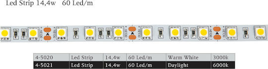 Spot Light Ταινία LED 12V Ψυχρό Λευκό Φως 5m Τύπου SMD5050