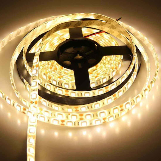 Lucas Bandă LED 12V Alb Cald Lumină 5m Tip SMD5050