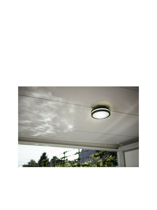 Lutec Titan Wall-Mounted Outdoor Ceiling Light E27 IP54 9.5x26x26εκ.