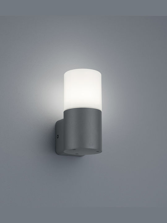 Trio Lighting Hoosic Wall-Mounted Outdoor Ceiling Light E27 IP44 8x17εκ.
