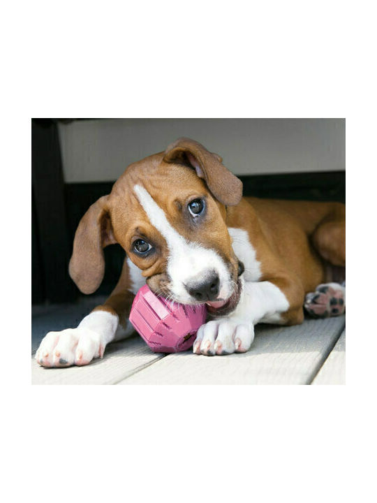 Kong Puppy Activity Μπάλα Παιχνίδι Σκύλου από Καουτσούκ Medium 14εκ.