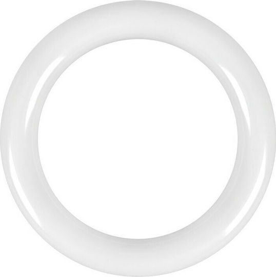 VK Lighting Leuchtstofflampe für Fassung G10Q mit Form T9 15W