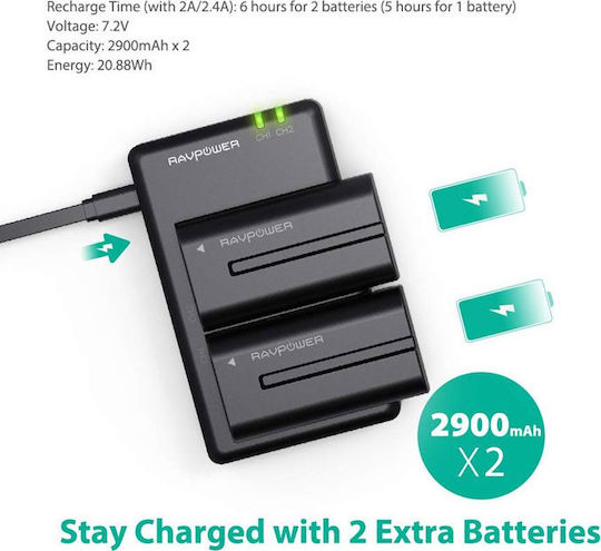 RAVPower Baterie aparat foto RP-BC006 2900mAh Compatibilă cu Sony