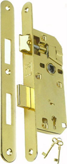 Domus Econ Line Recessed Lock Mesoportas with Center 40mm Gold Right