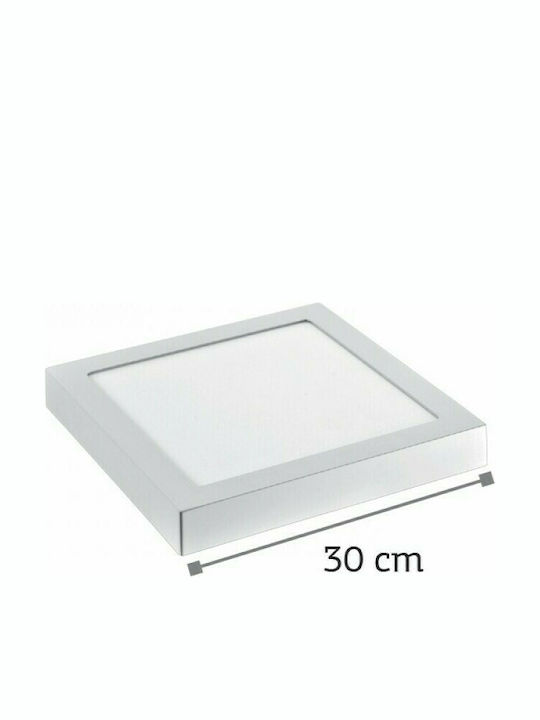 Inlight Square Outdoor LED Panel 24W with Natural White Light 4000K 30x30cm