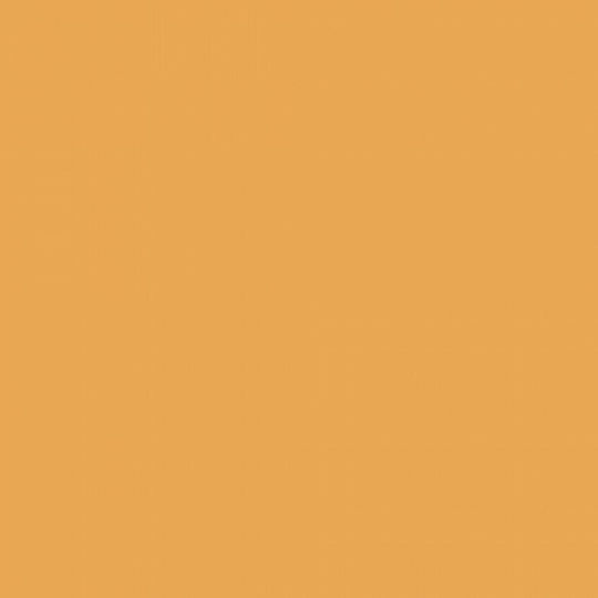 Fleur Chalky Look Chalk Paint F31 Tropical Sunset Sunset Orange 130ml