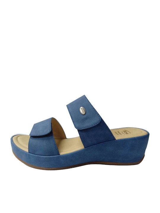 Scholl
