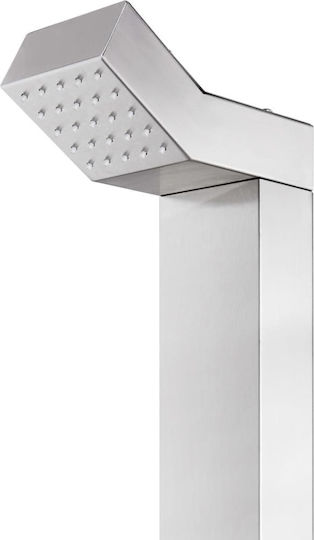 vidaXL Pool Shower Made of PVC with Height 220cm Silver