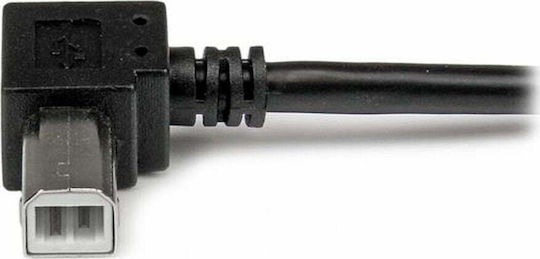 StarTech USB 2.0 Cable USB-A male - USB-B male Μαύρο 2m (USBAB2MR)