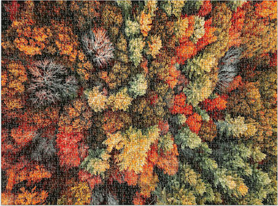 Autumn Forest Puzzle 2D 1000 Pieces