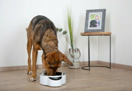 Kerbl Intelligent Stainless Steel Bowl Food for Dog & Cat 1.8lt in White Color