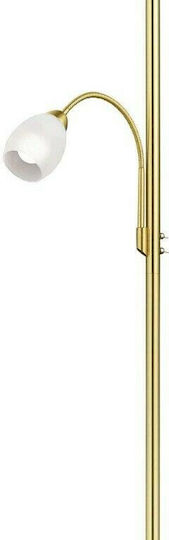 Trio Lighting Gerry Floor Lamp H180xW34cm. with Socket for Bulb E27 Gold