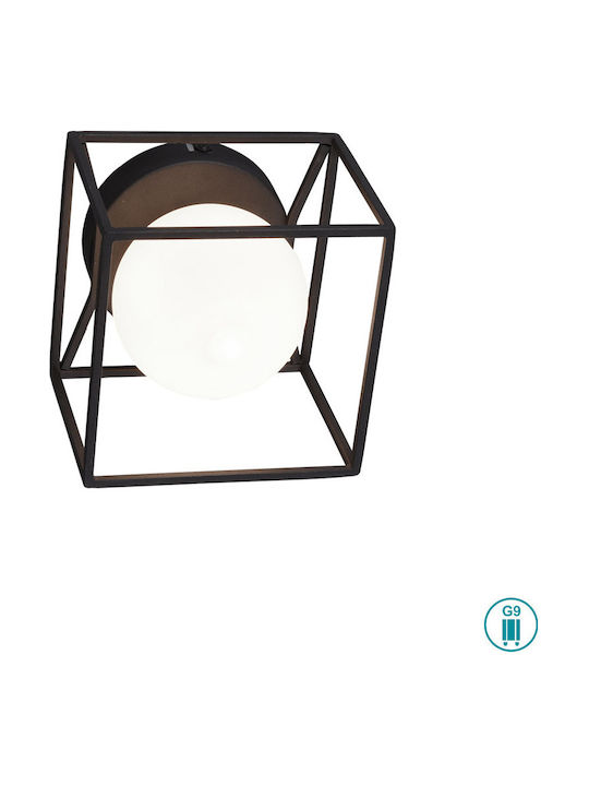 Trio Lighting Gabbia Modern Lamp Wall with Socket G9 Black 14.5x14.5x13cm