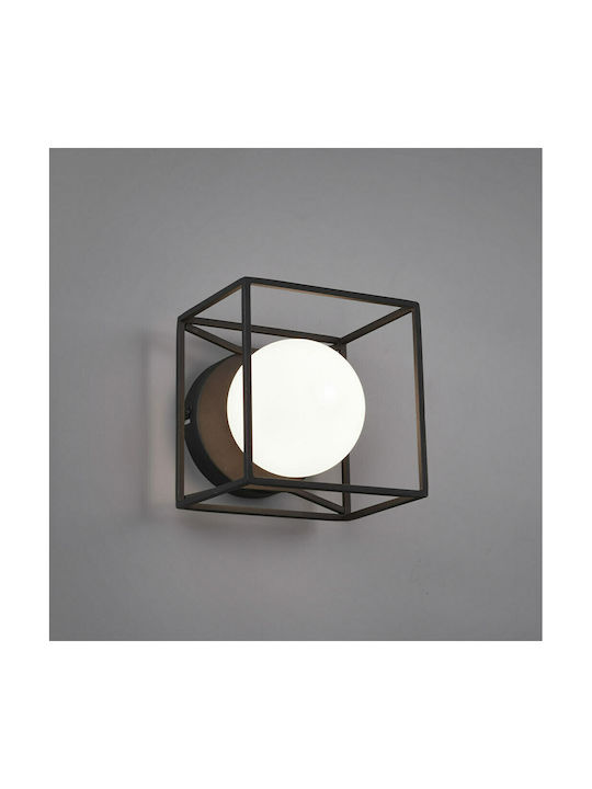 Trio Lighting Gabbia Modern Lamp Wall with Socket G9 Black 14.5x14.5x13cm