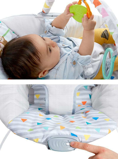 Bright Starts Elektrisch Baby Relax Safari Fun mit Vibration Mehrfarbig für Kind bis 9kg