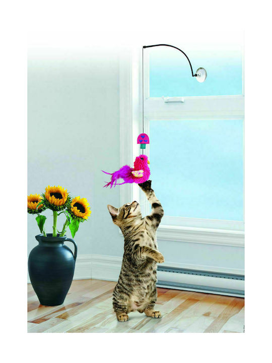 Kong Cat Window Teaser Παιχνίδι Γάτας Ραβδί